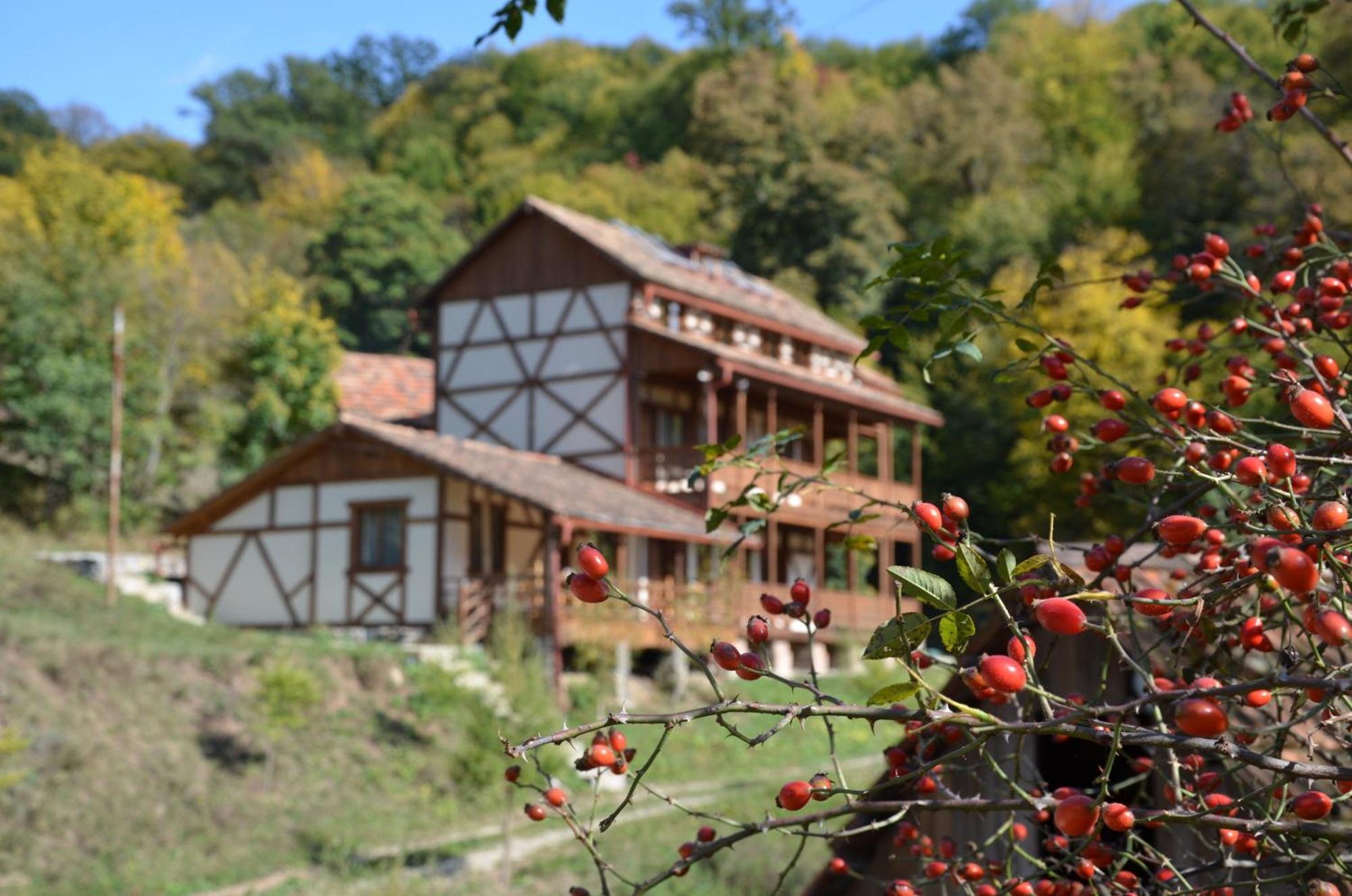 Ecokayan Dilijan Resort Hotel Ngoại thất bức ảnh
