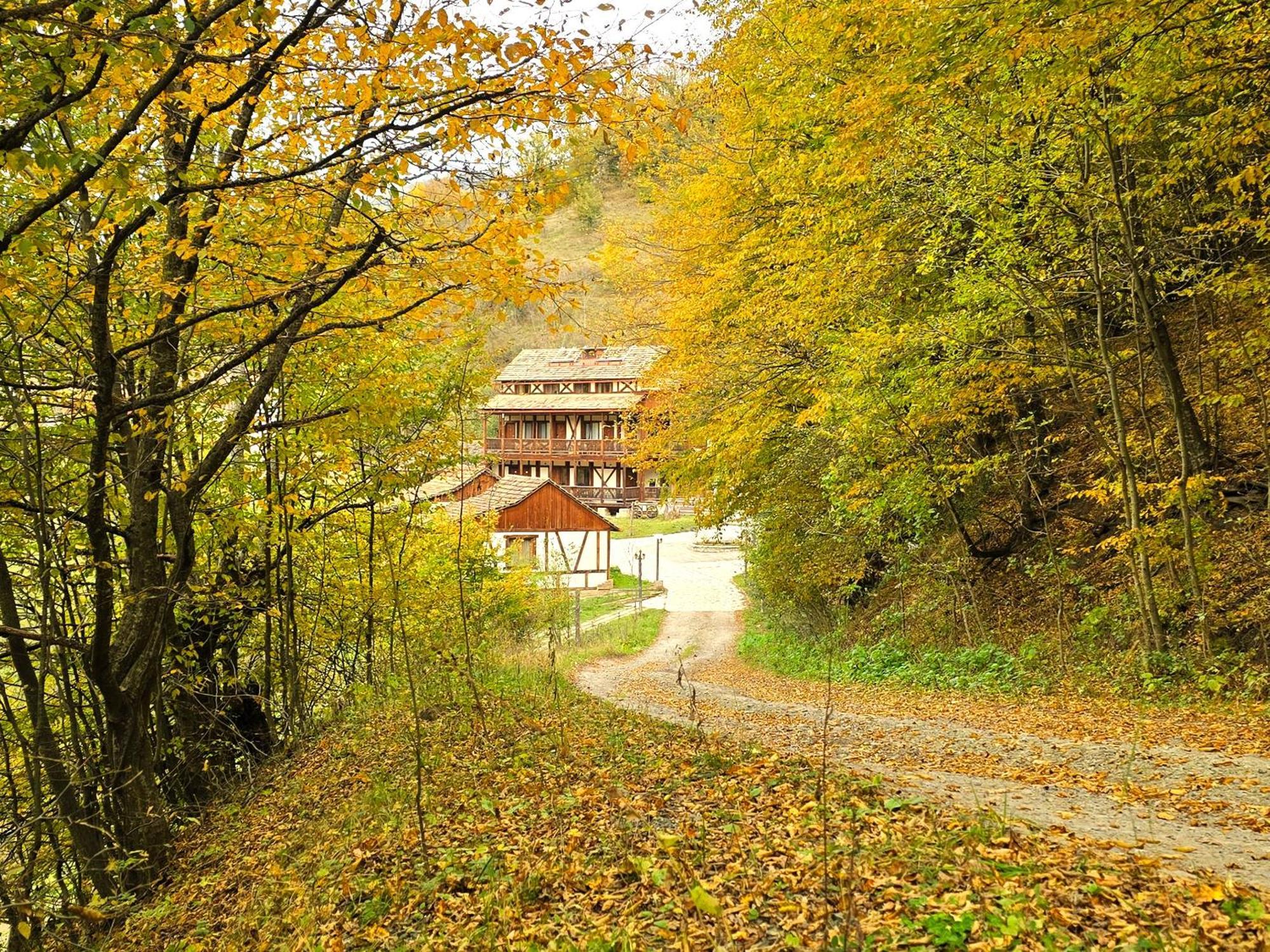 Ecokayan Dilijan Resort Hotel Ngoại thất bức ảnh